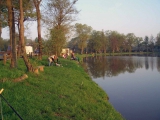 <h5>Anangeln 2011</h5>