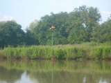 <h5>Sommerfest 2012</h5>