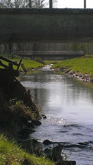 <h5>Anangeln 2013</h5>