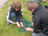 <h5>Forellenangeln 2011</h5>