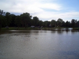 <h5>Koppelangeln 2011</h5>