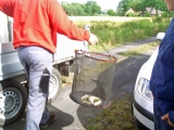 <h5>Koppelangeln 2011</h5>
