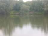 <h5>Vergleichsangeln 2011</h5>