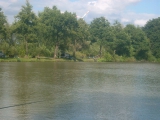 <h5>Vergleichsangeln 2012</h5>