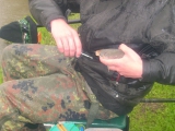<h5>Anangeln 2013</h5>
