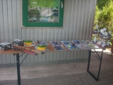 <h5>Königsangeln 2013</h5>